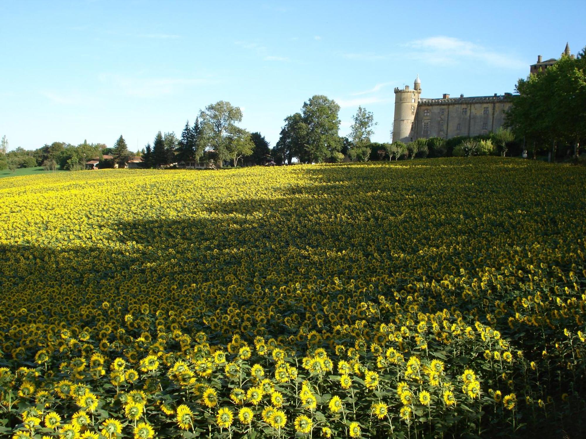 Relais du Château Hotel Saint-Blancard Exterior foto